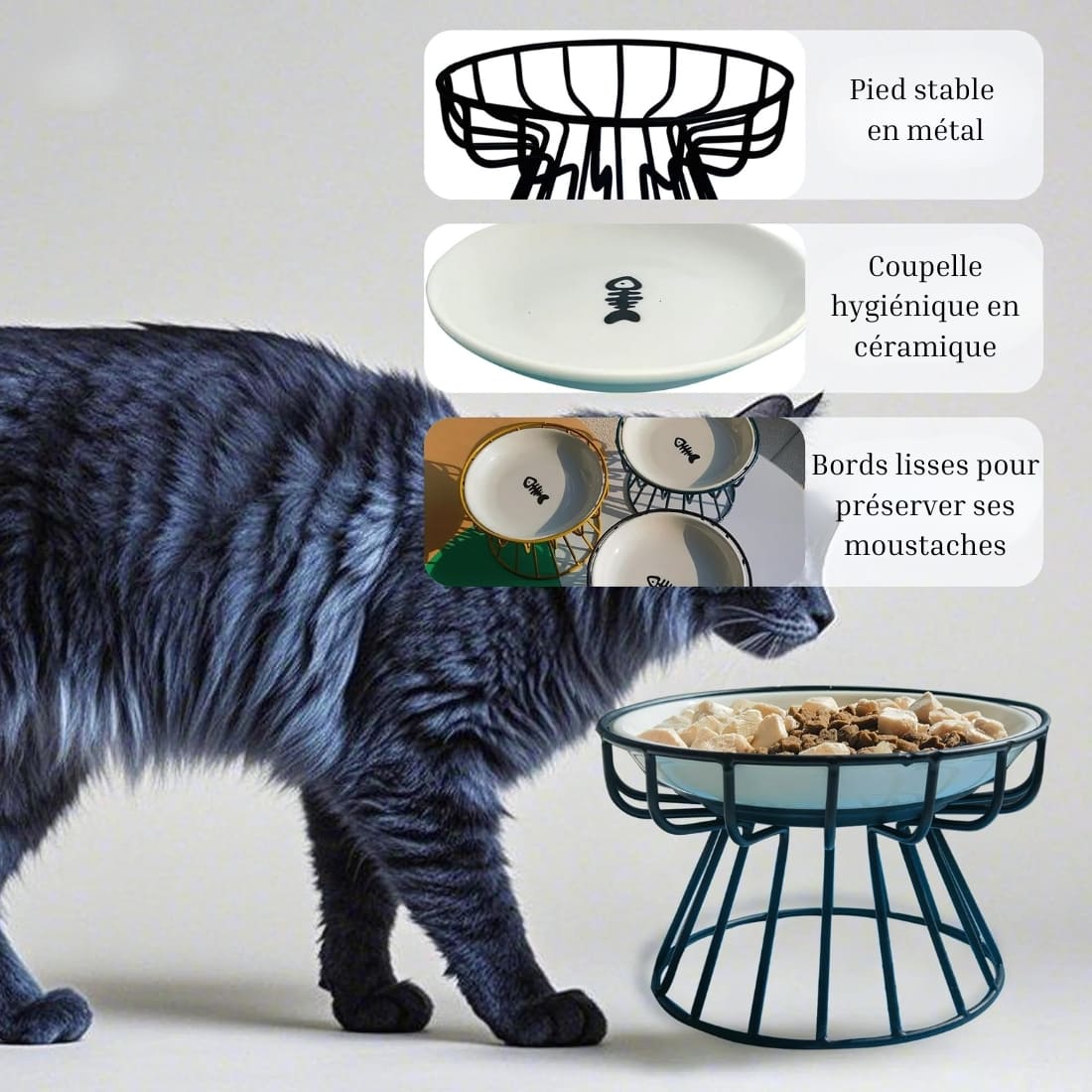 IMG_08_2025_bol_orthopédique_pour_chat_plat_en_céramique_sur_pied_5
