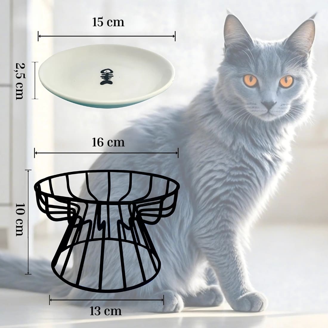 IMG_08_2025_bol_orthopédique_pour_chat_plat_en_céramique_sur_pied_6