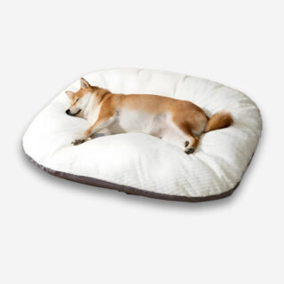 Coussin orthopédique pour chien ovale effet velours blanc sur le dessus. Un chien marron est allongé. Sur fond uni clair.