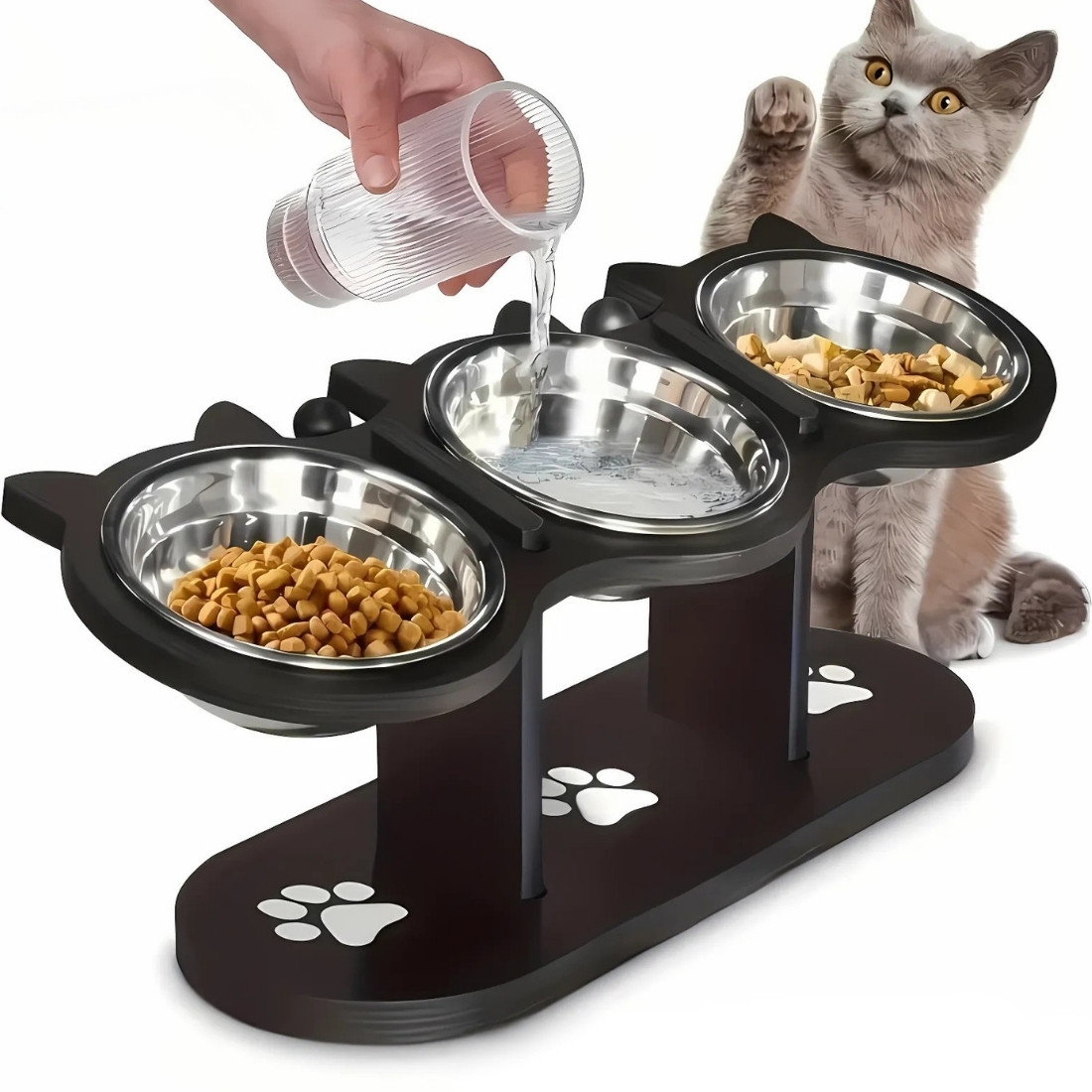 IMG_08_2025_gamelle_orthopédique_pour_chat_surélevée_avec_trois_bols_1