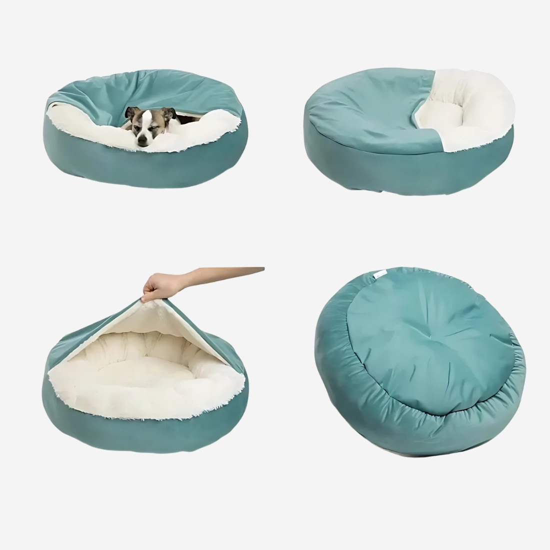IMG_08_2025_lit_orthopédique_pour_chien_avec_couverture_intégrée_8