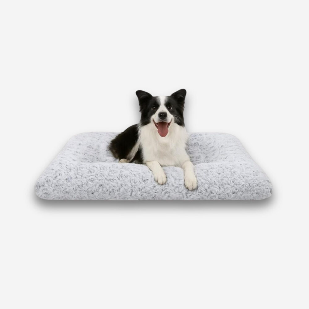 chien couché sur un tapis orthopédique épais et moelleux, gris clair, sur fond neutre.