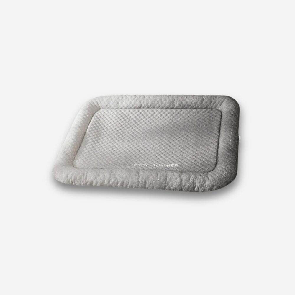 tapis pour chien, gris à rebords, à plat, sur fond neutre.